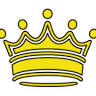 Steam King Carpet Care