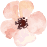 Floricoltura Stefanetti