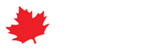 Special Travel International