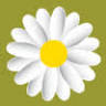 Still Point Flower Farm