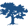 Stone Oak Orthodontics: San Antonio Location
