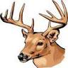 Stony Fork Hunts