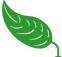 EcoBaby Gear