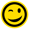 Store in a Wink