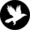 Strange Bird Immersive Escape Rooms