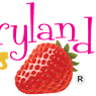 Strawberryland Right Brain Development