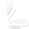 Bloembinders Strelitzia