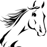Stride Out Ranch N' Rodeo Shop
