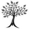 Studio di Psicologia e Psicoterapia il Mandorlo