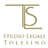 Avvocato Silvio Tolesino