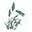 Sturm Funeral Home/Cremation