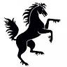 Stuttgarter Parkett