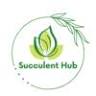 Succulent Hub India