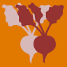 Sugarbeets