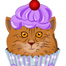 Sugar Kittens Cat Cafe & Cattery