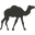 The Australian Wild Camel Corporation Pty Ltd