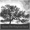 Summer Oaks Presbyterian Church