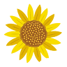 Sunflower Cafe
