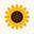 Sunflower House Cookies
