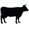 Sunnyside Meats Plant