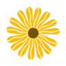 Sunny Thai Massage