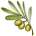 Sunshine Coast Olive Oil Co.