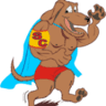 Super Dog Feed Trade Ltda. - ME