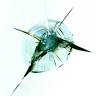 Super Glass Windshield Repair