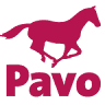 Suplementos para caballos