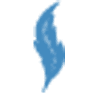 Suporto