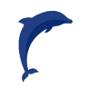 Surf's Up Dolphin Cruises
