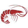 The Surry Seafood Co.