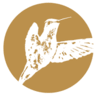 Susanne Lindlbauer - Personal Training, Yoga-Angebote, Mentoring und Coaching