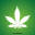 Susquehanna Hemp Company