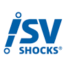 SV-Shocks