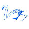 Swan Roofing LLC