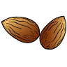 Sweet Almond