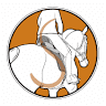 Symbiose Saddle Fitting
