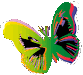 Symphonie des Couleurs