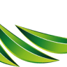 Synergie Minceur