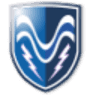 Tactical Electronics Corporation