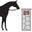 Tack and Habit Shoppe