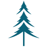 Tall Pines Family Dentistry