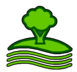 T & M Tree Services