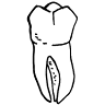Tandstudio