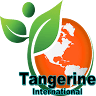 Tangerine International School