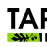 Tarasov - Avtorsʹki Mebli