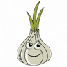Stone Bridge garlic