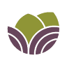 Tattva Spa