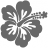 Hawaii Taxation Department